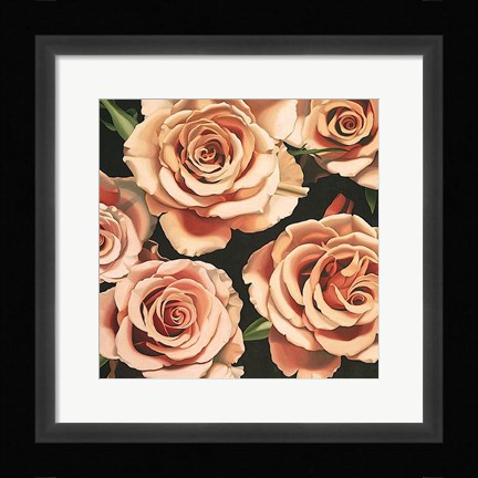 Framed Roses Print