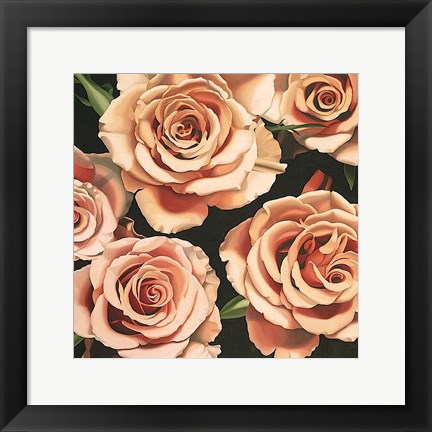 Framed Roses Print