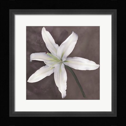 Framed White Lily Print