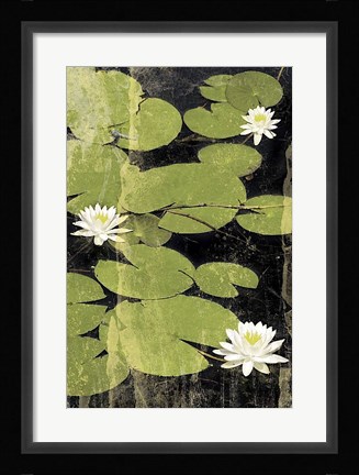 Framed Pond Blossoms Print