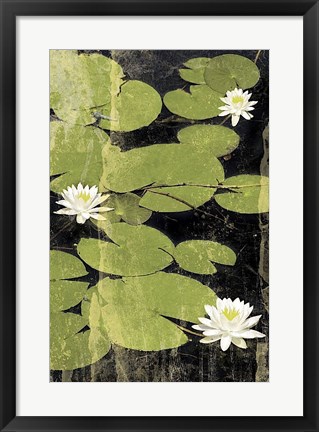Framed Pond Blossoms Print