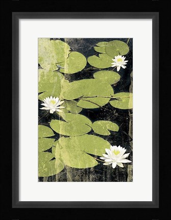 Framed Pond Blossoms Print