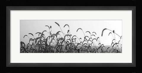 Framed Autumn Light Print