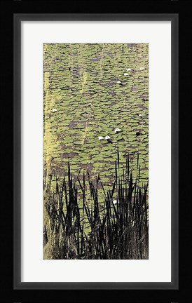 Framed Lily Pond I Print