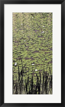 Framed Lily Pond II Print