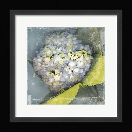 Framed Antique Bloom Print