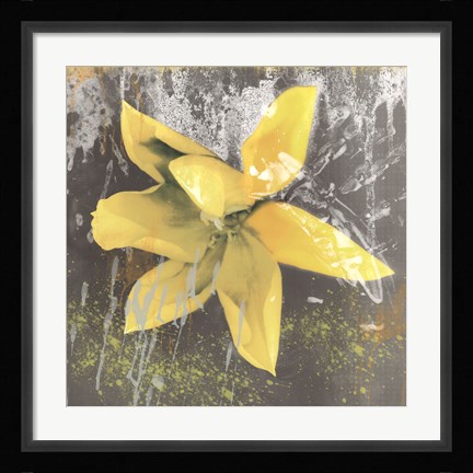 Framed Tulip Fresco (yellow) Print