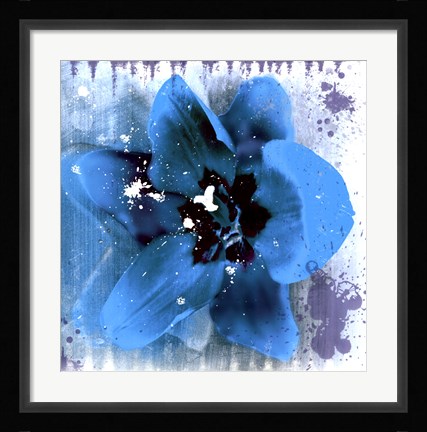 Framed Tulip Fresco (blue) Print