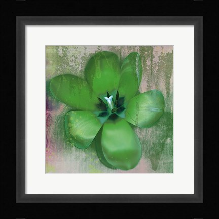 Framed Tulip Fresco (green) Print