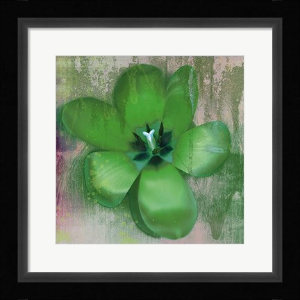 Framed Tulip Fresco (green) Print