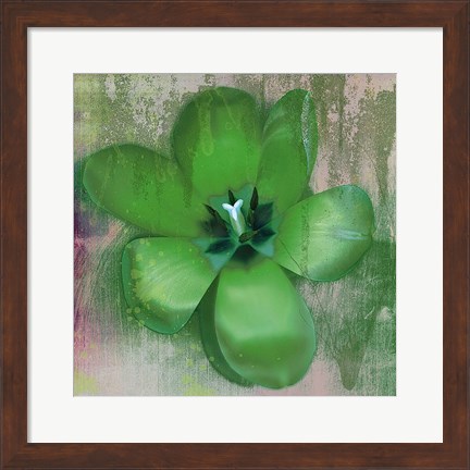 Framed Tulip Fresco (green) Print