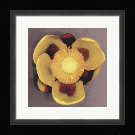 Framed Waterlily Print