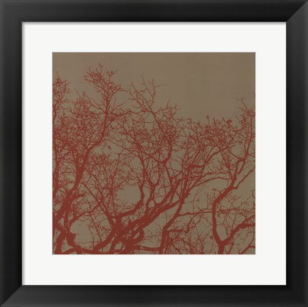Framed Cinnamon Tree II Print