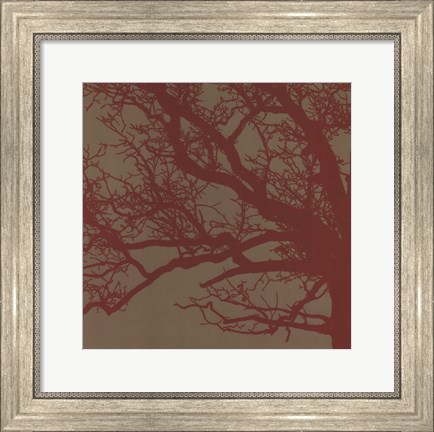 Framed Cinnamon Tree III Print