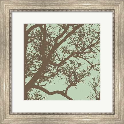 Framed Winter Tree IV Print