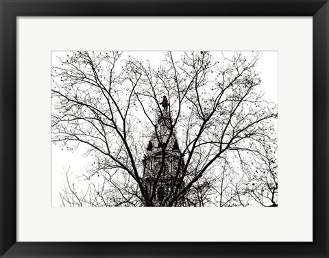 Framed City Hall (branches) Print