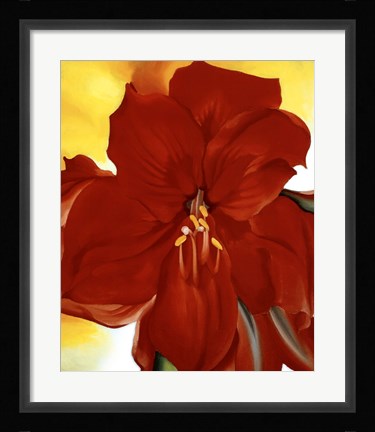 Framed Red Amaryllis, 1937 Print