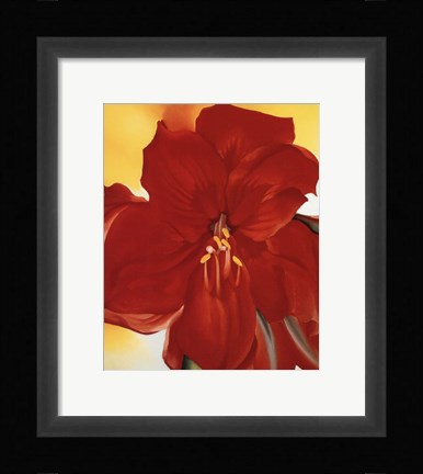 Framed Red Amaryllis, 1937 Print
