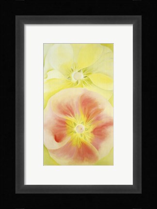 Framed Pink and Yellow Hollyhocks, 1952 Print