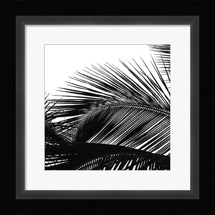 Framed Palms 13 (detail) Print