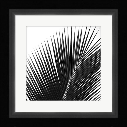 Framed Palms 14 (detail) Print