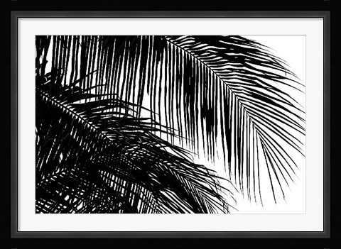Framed Palms 3 Print