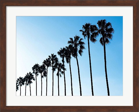 Framed La Jolla Palms Print