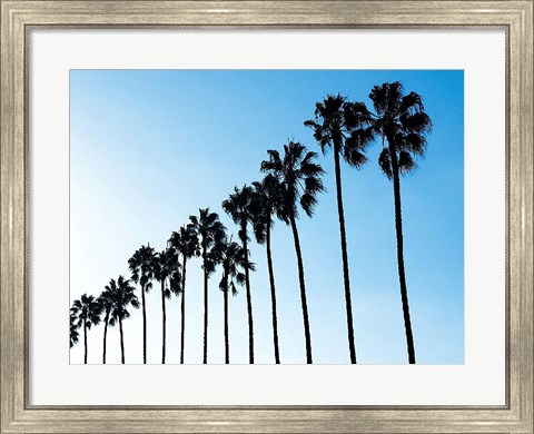 Framed La Jolla Palms Print