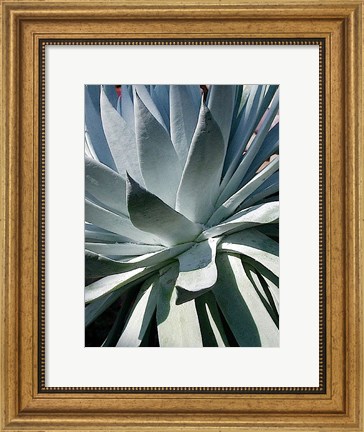 Framed Cactus 1 Print