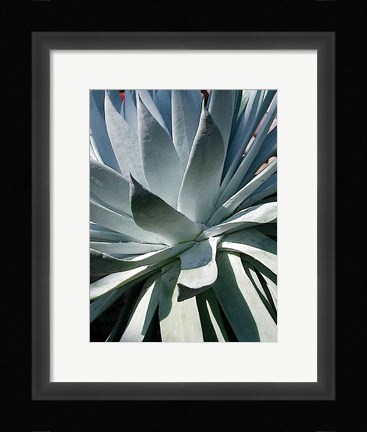 Framed Cactus 1 Print