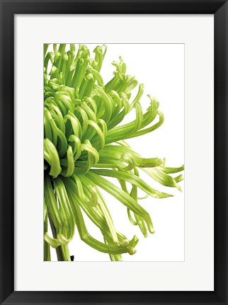 Framed Green Bloom 2 Print