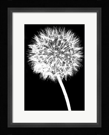 Framed Dandelion Print