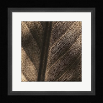 Framed Details Print