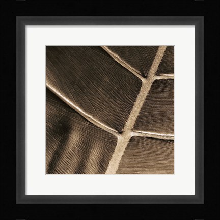 Framed Particular Print