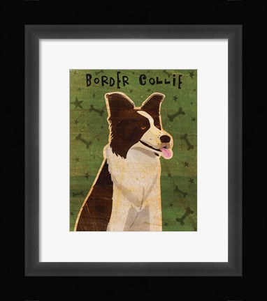 Framed Border Collie Print
