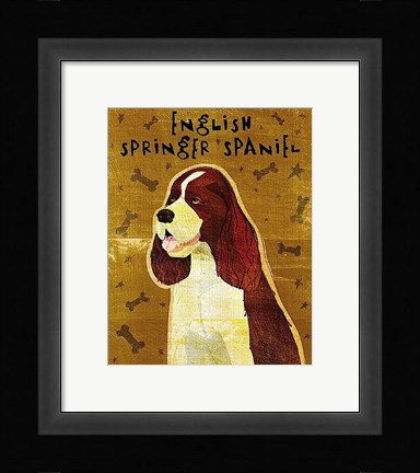 Framed English Springer Spaniel Print