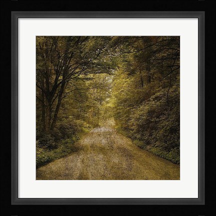 Framed Flannery Fork Road No. 1 Print