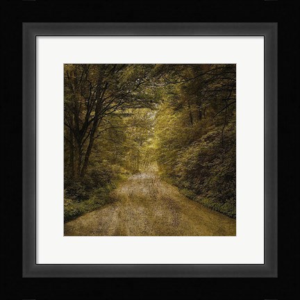 Framed Flannery Fork Road No. 1 Print