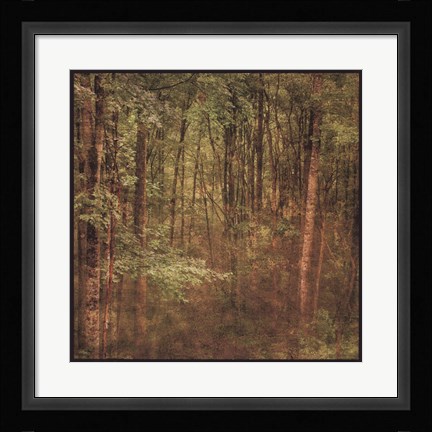 Framed Fog in Mountain Trees Print