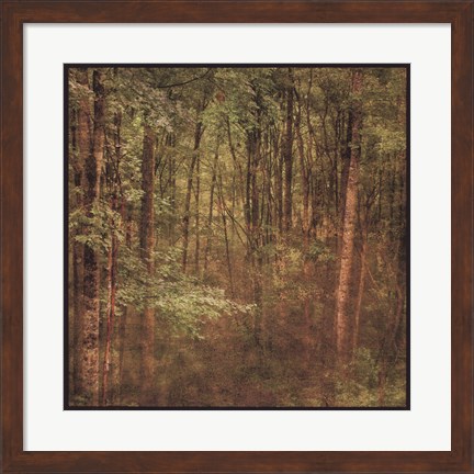 Framed Fog in Mountain Trees Print