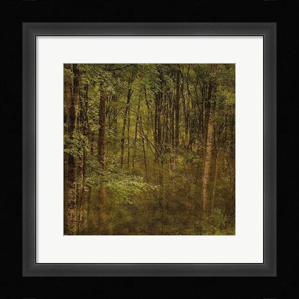 Framed Fog in Mountain Trees Print