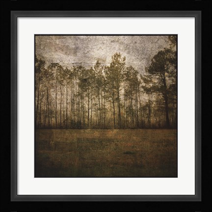 Framed Line of Pines Print