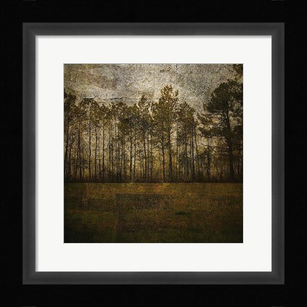 Framed Line of Pines Print