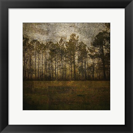 Framed Line of Pines Print