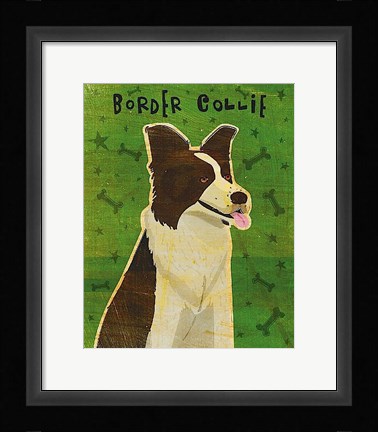 Framed Border Collie Print