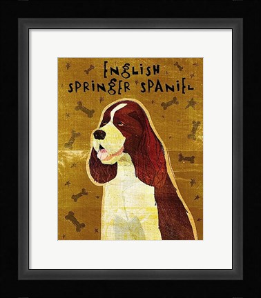 Framed English Springer Spaniel Print