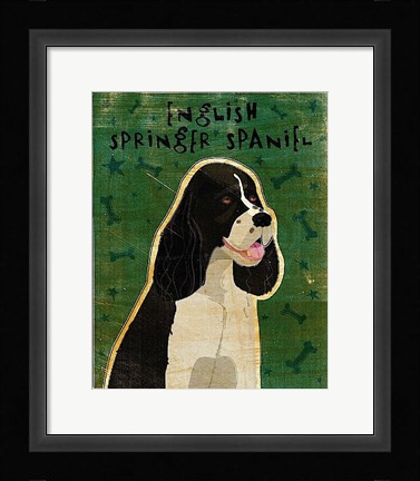 Framed English Springer Spaniel (black and white) Print