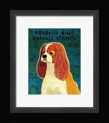 Framed Cavalier King Charles (Blenheim) Print
