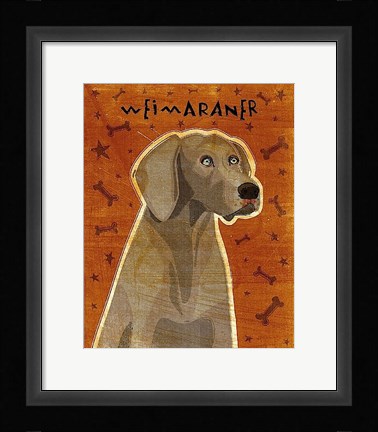 Framed Weimaraner Print