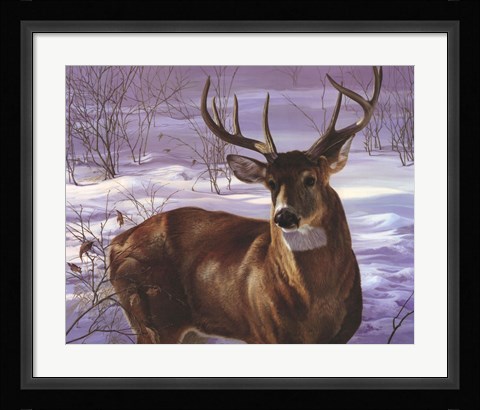 Framed Through My Window- Whitetail Deer Print